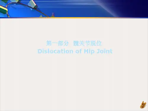 髋关节周围骨折脱位PPT课件(模板)
