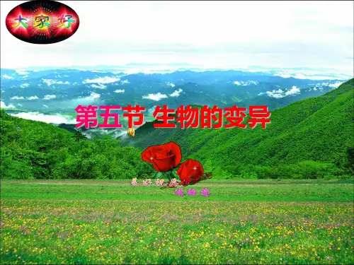 7.2.5 生物的变异-人教版八年级下册生物课件(共24张PPT)