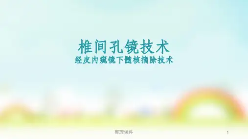 椎间孔镜技术