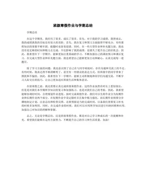 班级寒假作业与学期总结