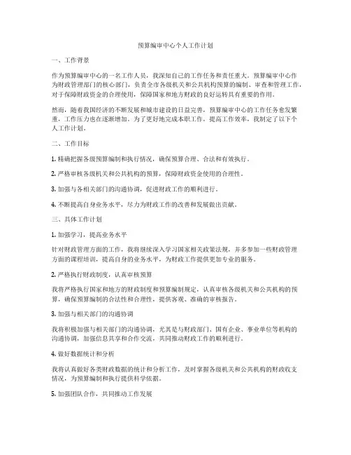 预算编审中心个人工作计划
