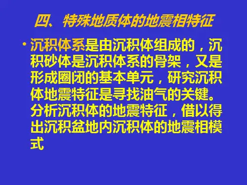 第四节特殊地质体的地震相解释