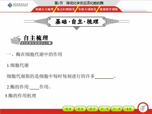 第1节 降低化学反应活化能的酶(58张PPT)