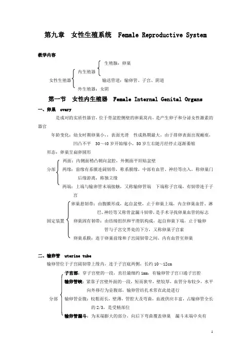 吉林省-《人体解剖学》电子教案——女性生殖系统(人卫版)