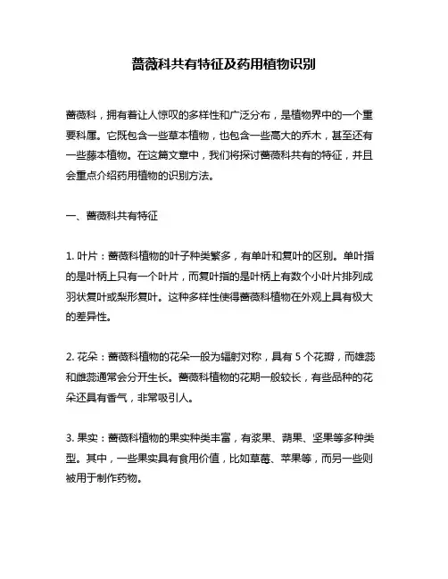 蔷薇科共有特征及药用植物识别