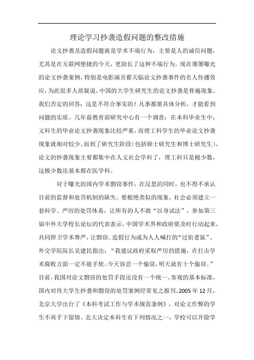 理论学习抄袭造假问题的整改措施