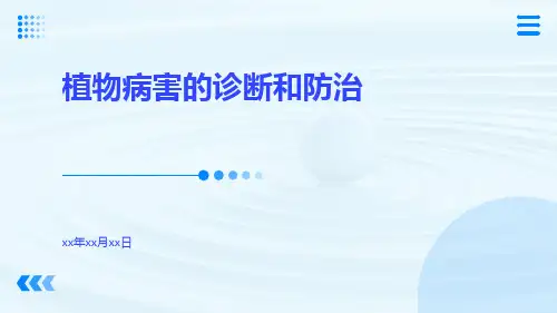 植物病害的诊断和防治ppt
