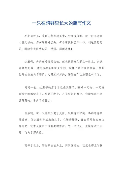 一只在鸡群里长大的鹰写作文