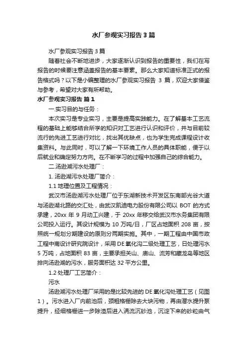 水厂参观实习报告3篇