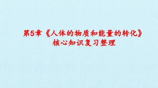 华师大版科学八年级上册：第5章 人体的物质和能量的转化  复习课件(修共21张PPT)