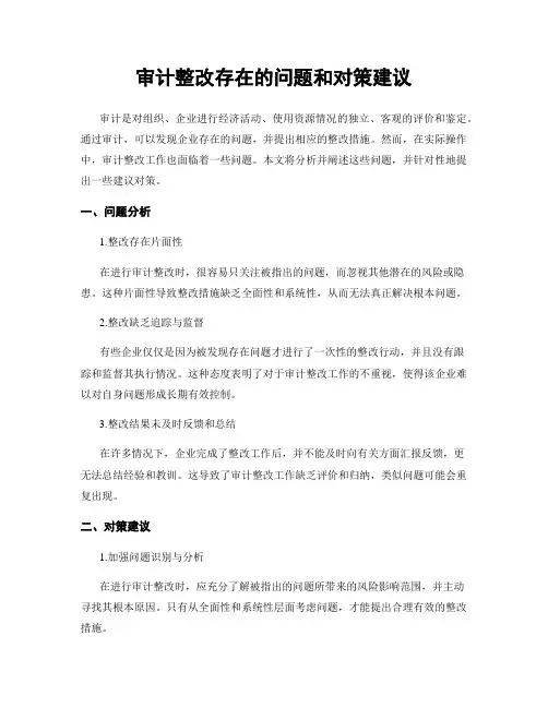 审计整改存在的问题和对策建议
