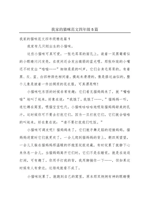 我家的猫咪范文四年级5篇