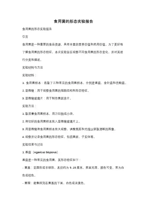 食用菌的形态实验报告