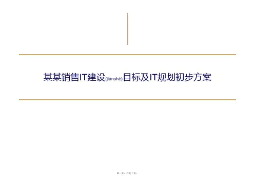 IT建设目标和初步规划(PPT)