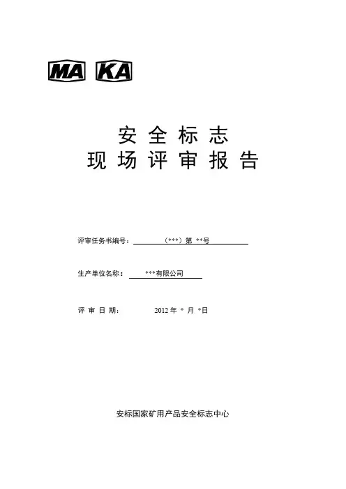 安全标志现场评审报告