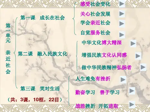 政治九年级下册第一单元框架结构及知识点