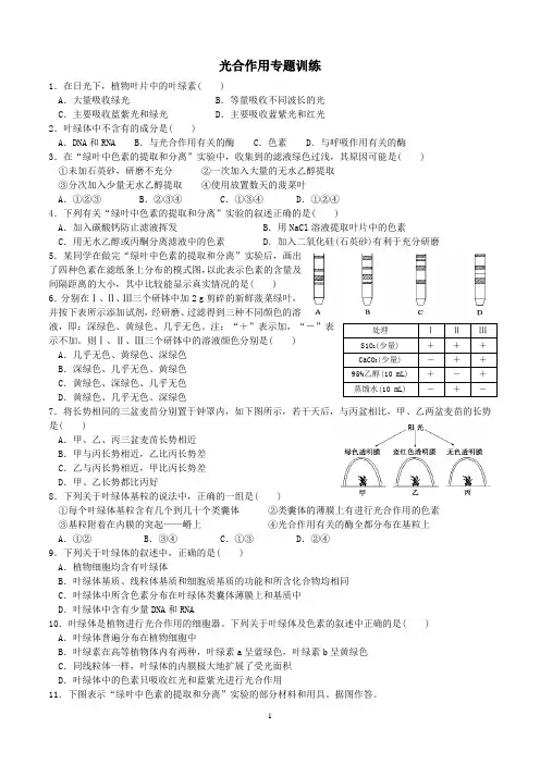 光合作用针对训练试题
