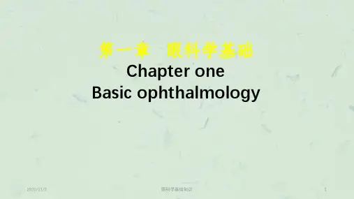 眼科学基础知识课件