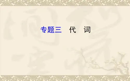 中考复习九年级英语专题复习 题型三    代 词