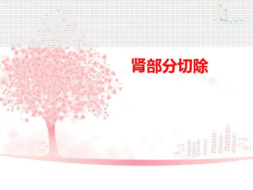 肾部分切除-第二季度护理查房