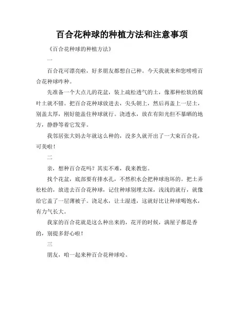 百合花种球的种植方法和注意事项