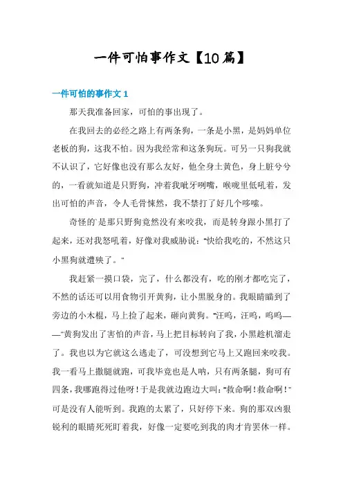 一件可怕事作文【10篇】