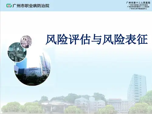职业病风险评估与风险表征PPT课件