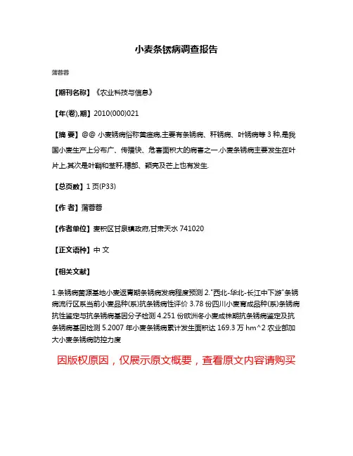 小麦条锈病调查报告