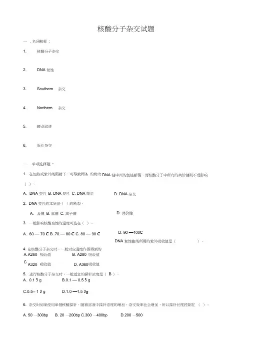 核酸分子杂交试题(全,打印)