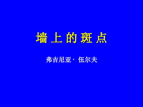 墙上的斑点