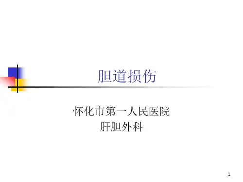 胆道损伤PPT课件