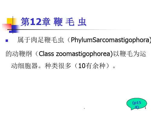 杜氏利什曼原虫PPT课件