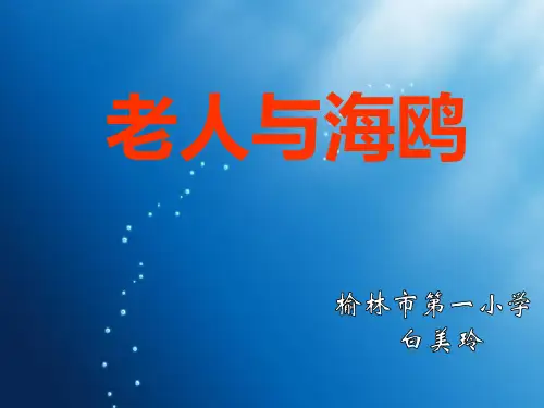 部编六年级上人教《21 老人与海鸥》白美玲PPT课件 一等奖新名师优质课获奖比赛公开免费下载