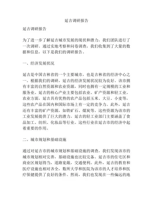 延吉调研报告