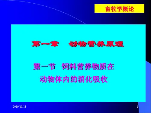 动物营养原理-PPT精品