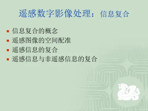 遥感数字影像处理：信息复合