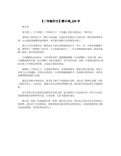 【二年级作文】孵小鸡_250字