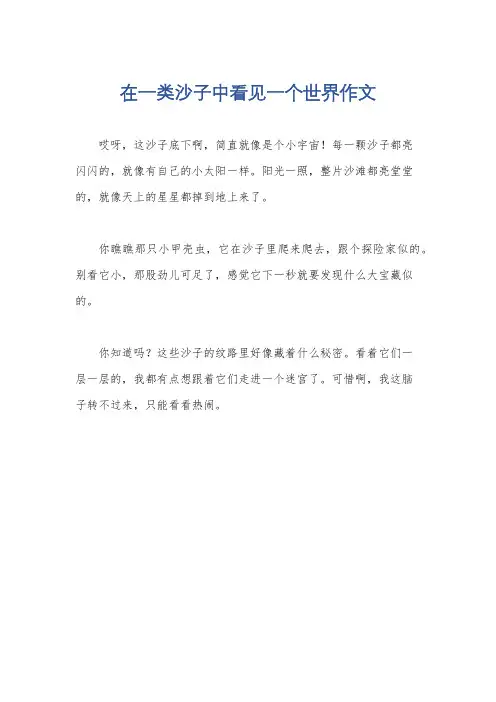 在一类沙子中看见一个世界作文