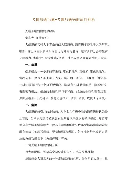 犬蠕形螨毛囊-犬蠕形螨病的病原解析