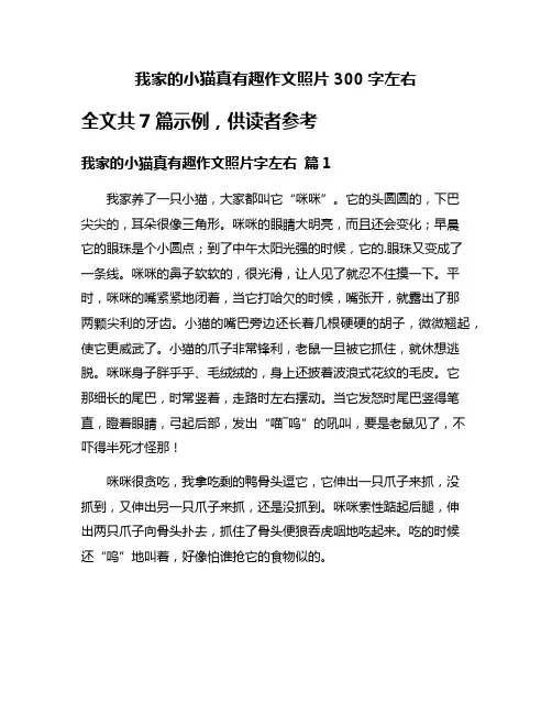 我家的小猫真有趣作文照片300字左右