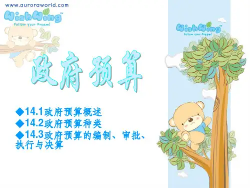 财政学：政府预算