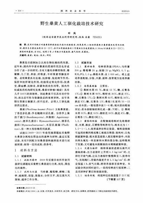 野生桑黄人工驯化栽培技术研究