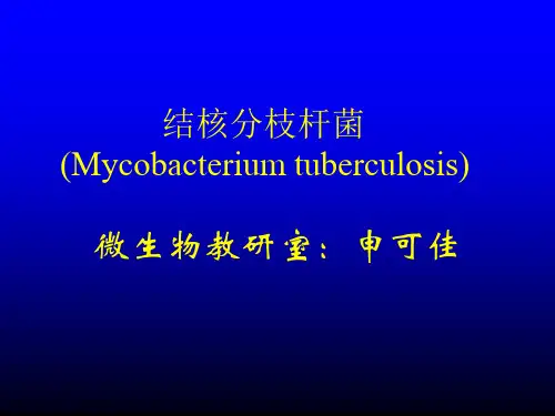 --结核分枝杆菌(Mycobacterium tuberculosis)