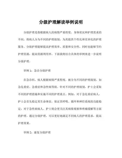 分级护理解读举例说明