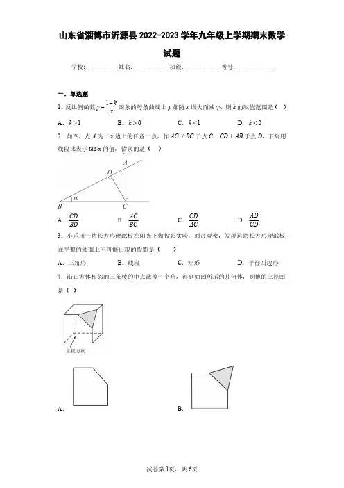 山东省淄博市沂源县2022-2023学年九年级上学期期末数学试题(含答案解析)