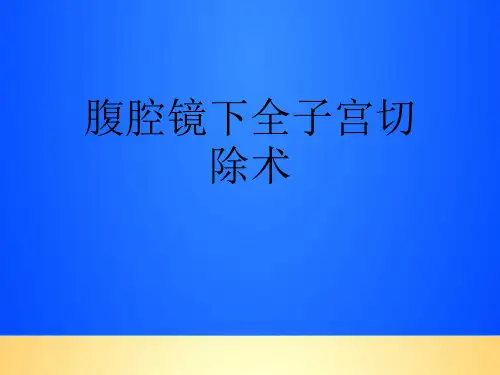 【优质】腹腔镜下全子宫切除术PPT文档