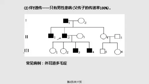 遗传系谱图的解题技巧.pptx