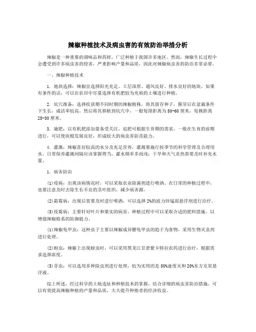 辣椒种植技术及病虫害的有效防治举措分析