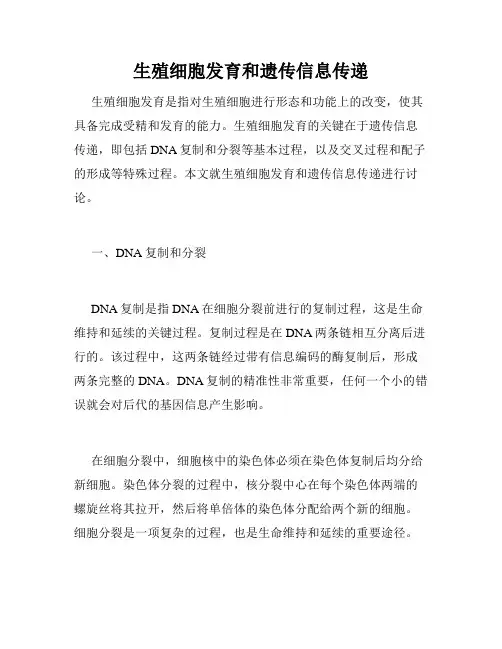 生殖细胞发育和遗传信息传递