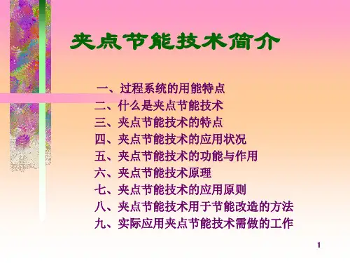 石化行业夹点节能技术讲座